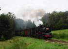 2020.08.05 JHMD U46.101 Jindřichův Hradec - Nová Bystřice (3)